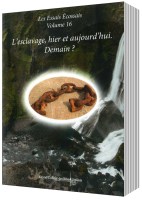 LES ESSAIS ECOSSAIS VOLUME 16-3D-DEFIN